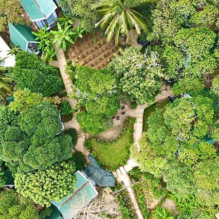 Homestay De La Rosa - Con Dao Chi Khu Co Ong Zewnętrze zdjęcie