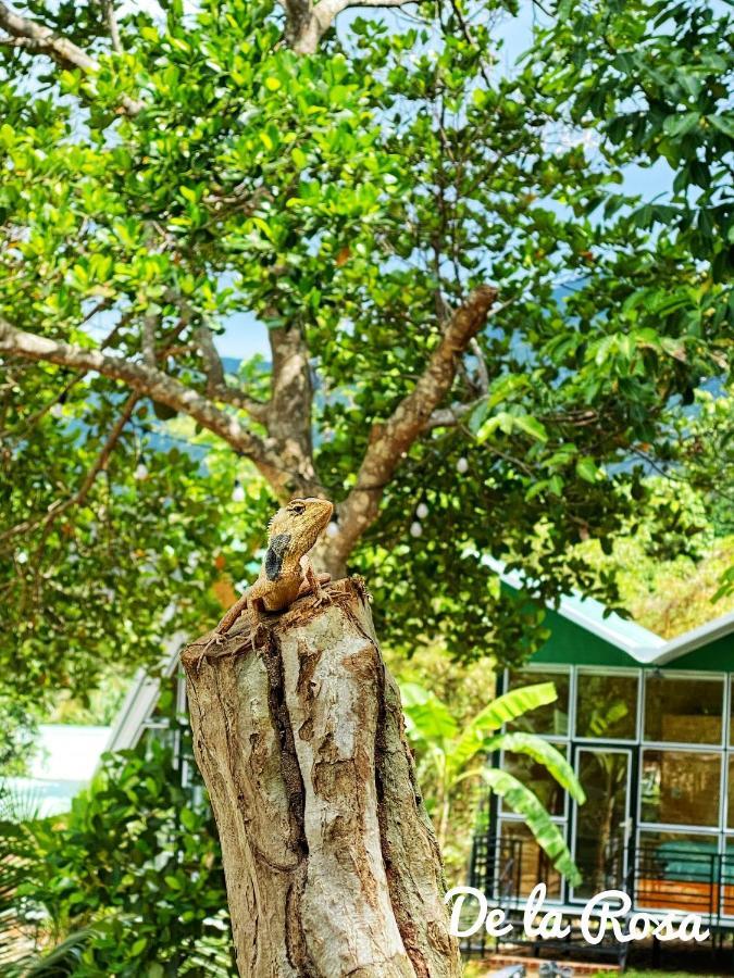 Homestay De La Rosa - Con Dao Chi Khu Co Ong Zewnętrze zdjęcie