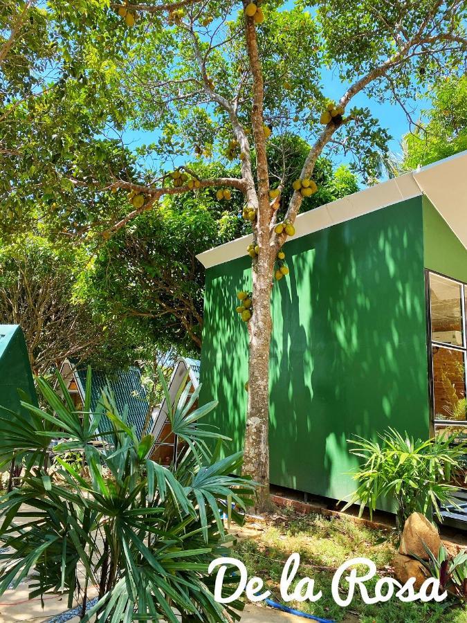 Homestay De La Rosa - Con Dao Chi Khu Co Ong Zewnętrze zdjęcie